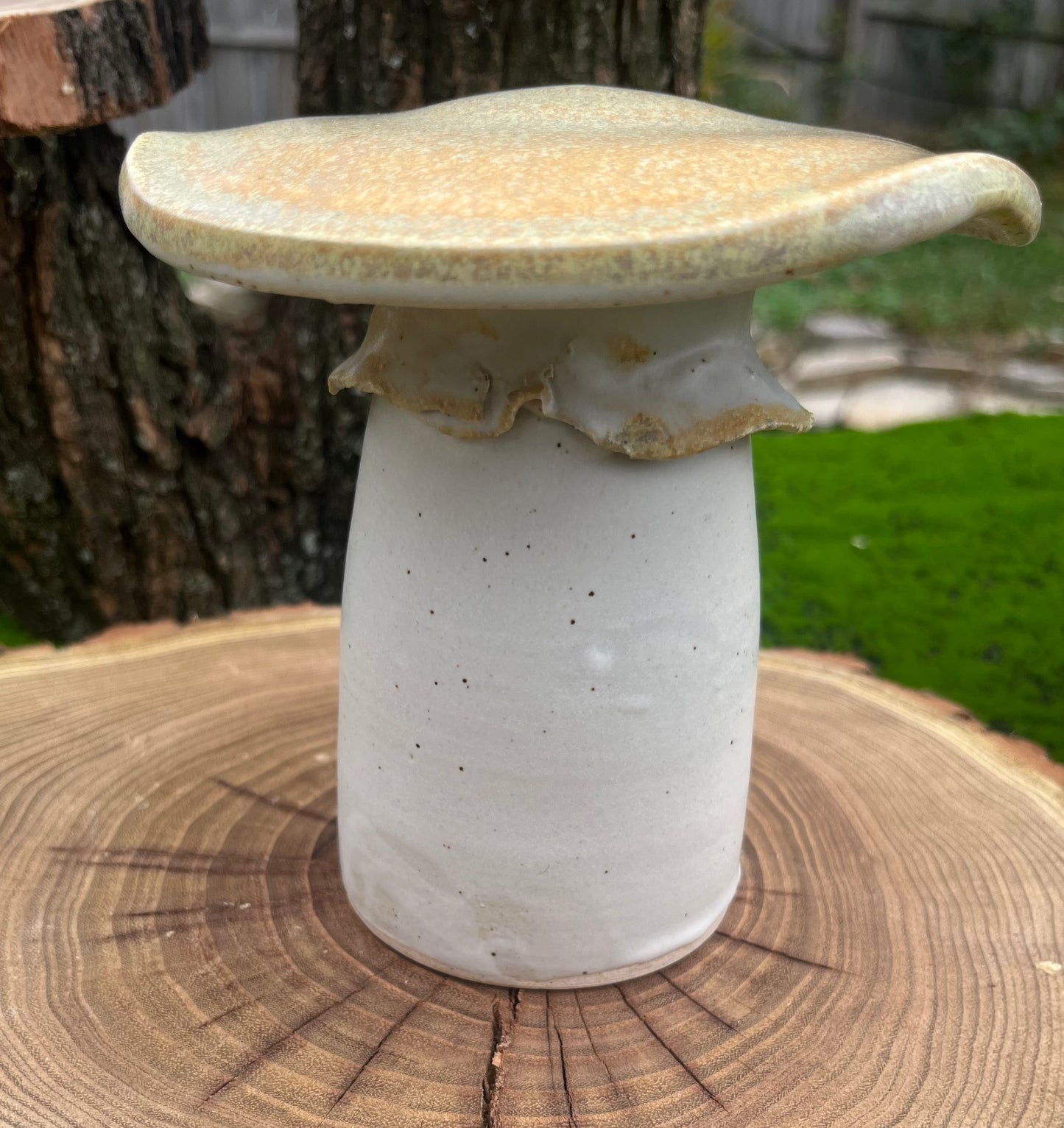 Ceramic mushroom