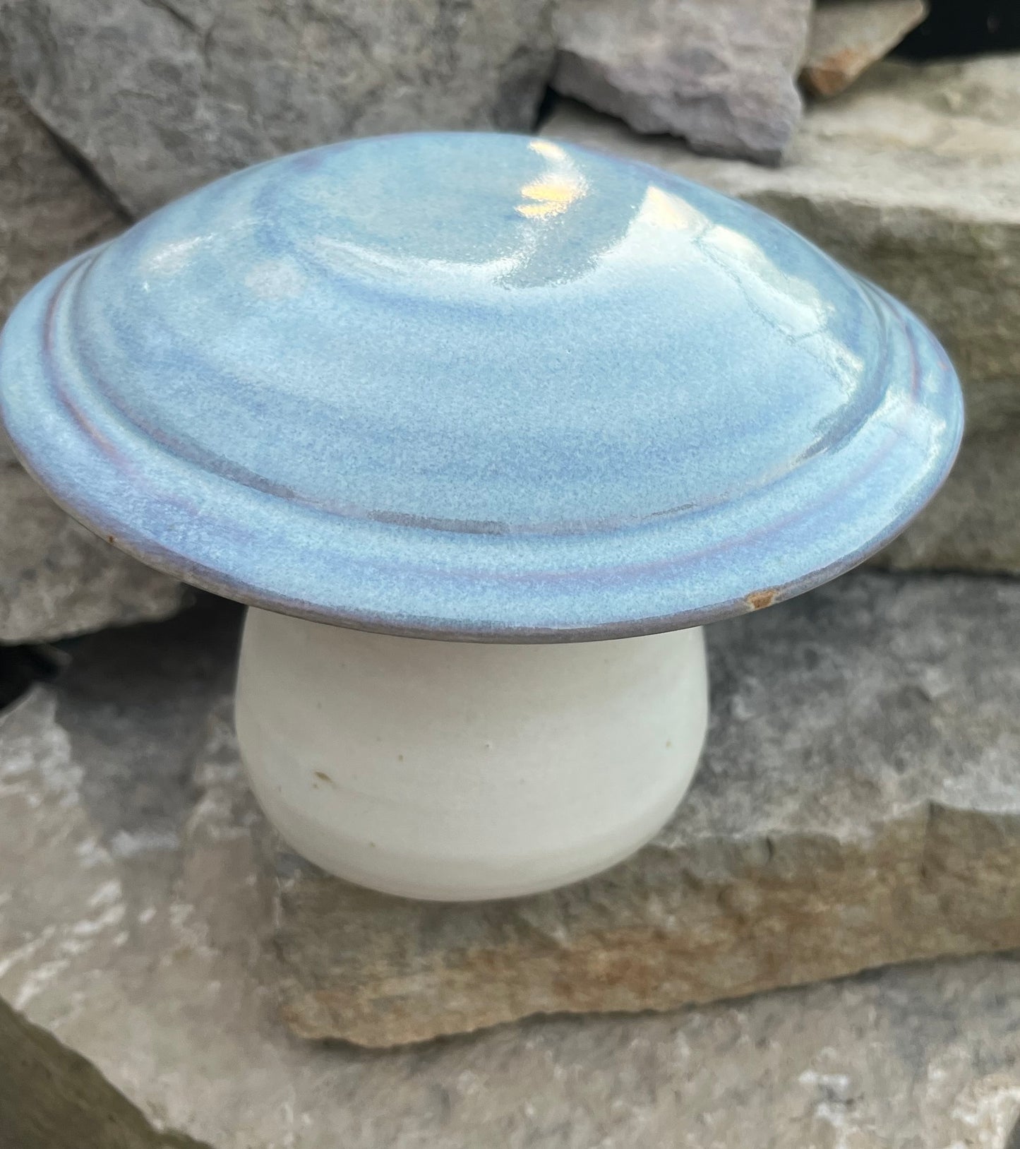 Ceramic mushroom