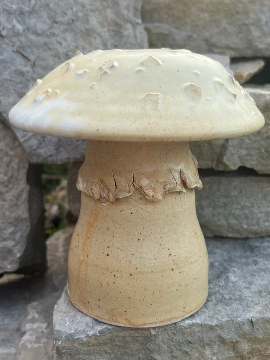 Ceramic mushroom