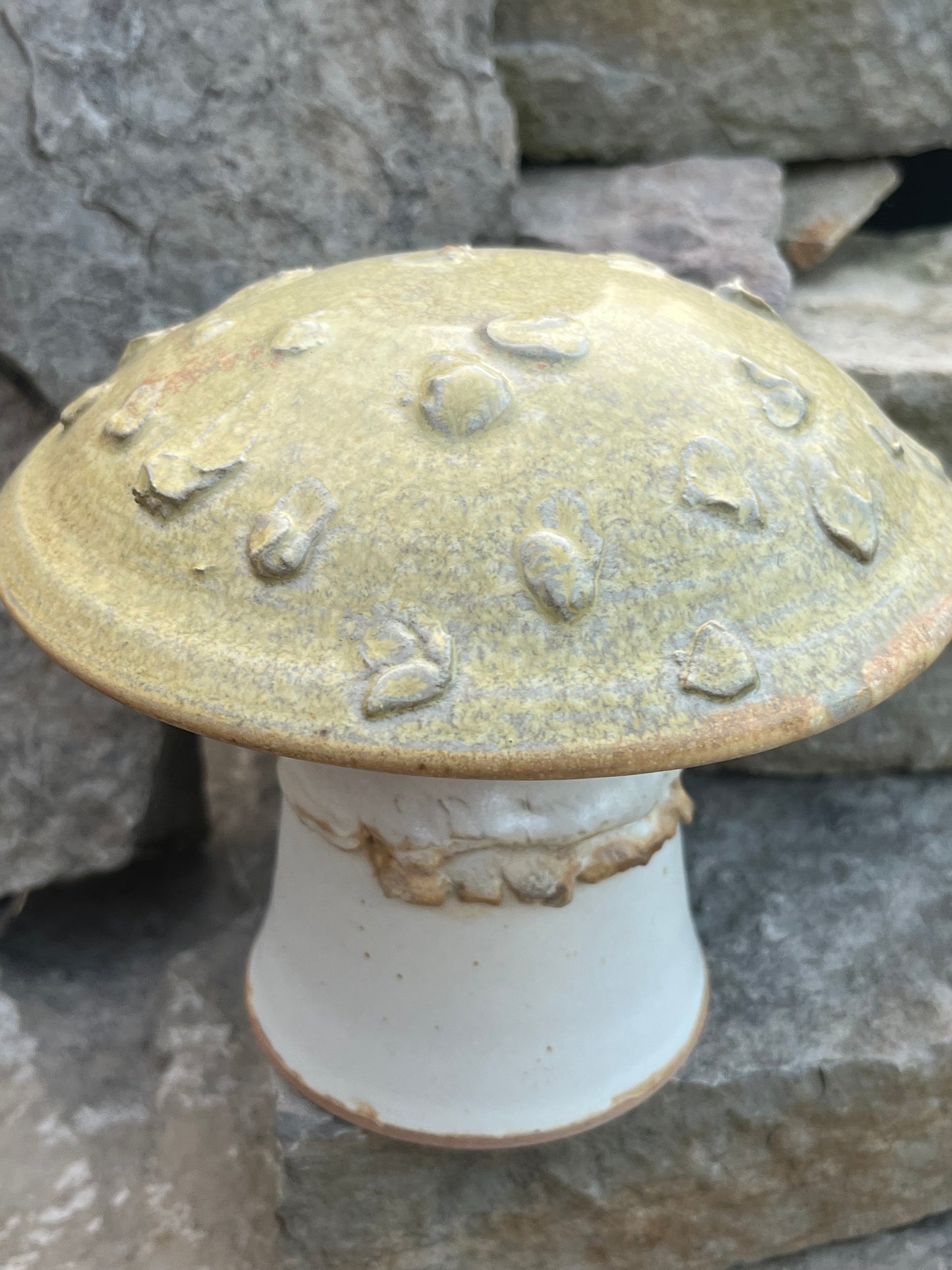 Ceramic Mushroom