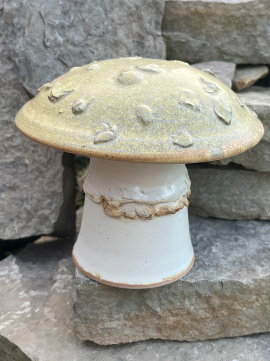 Ceramic Mushroom