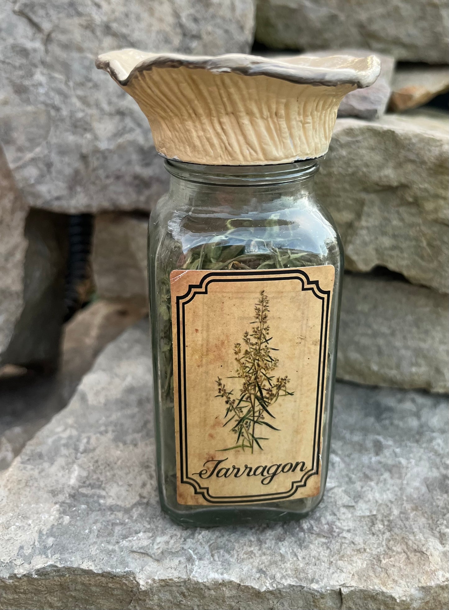 Oyster Mushroom Herb Jar