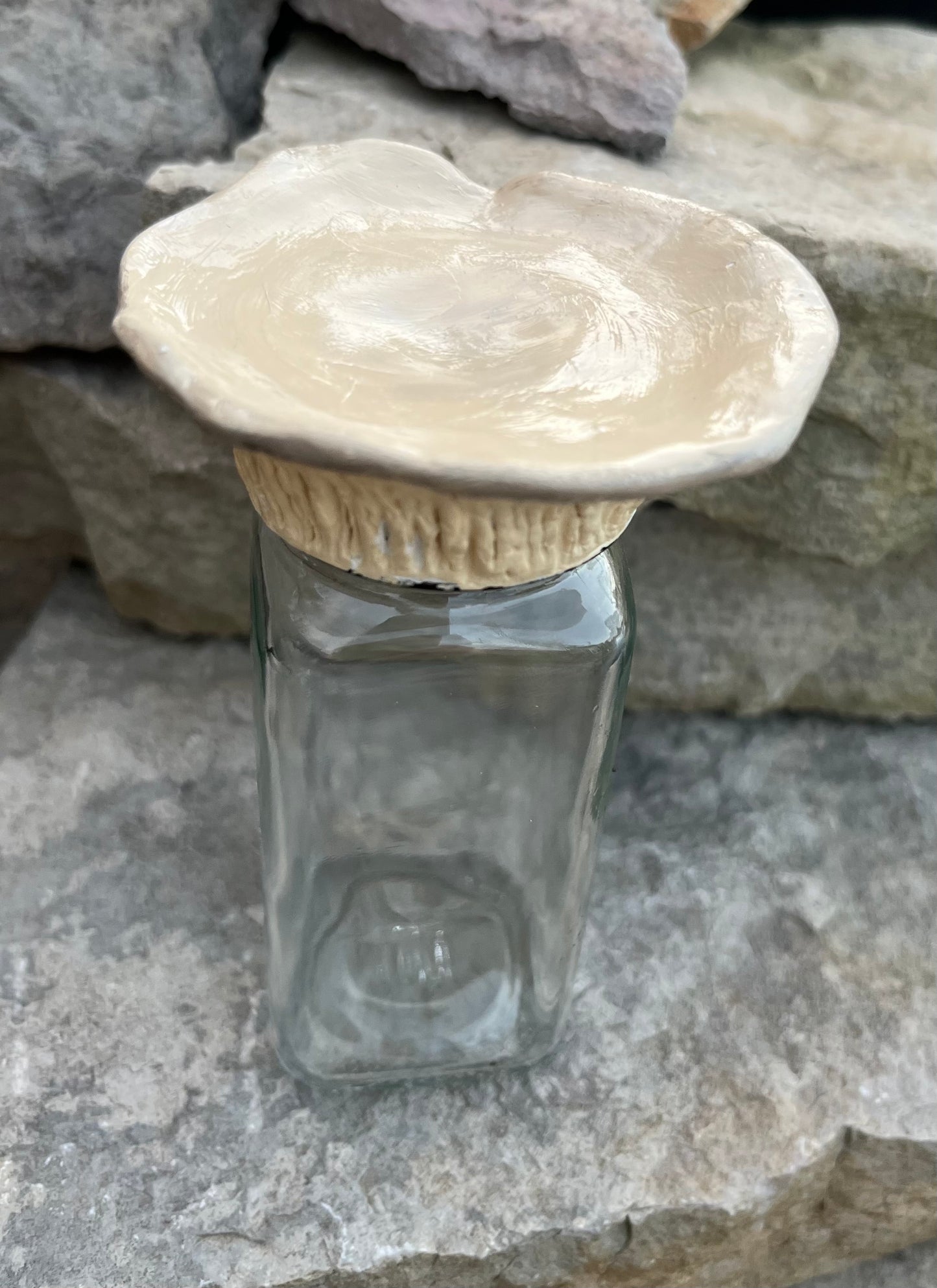 Oyster Mushroom Herb Jar