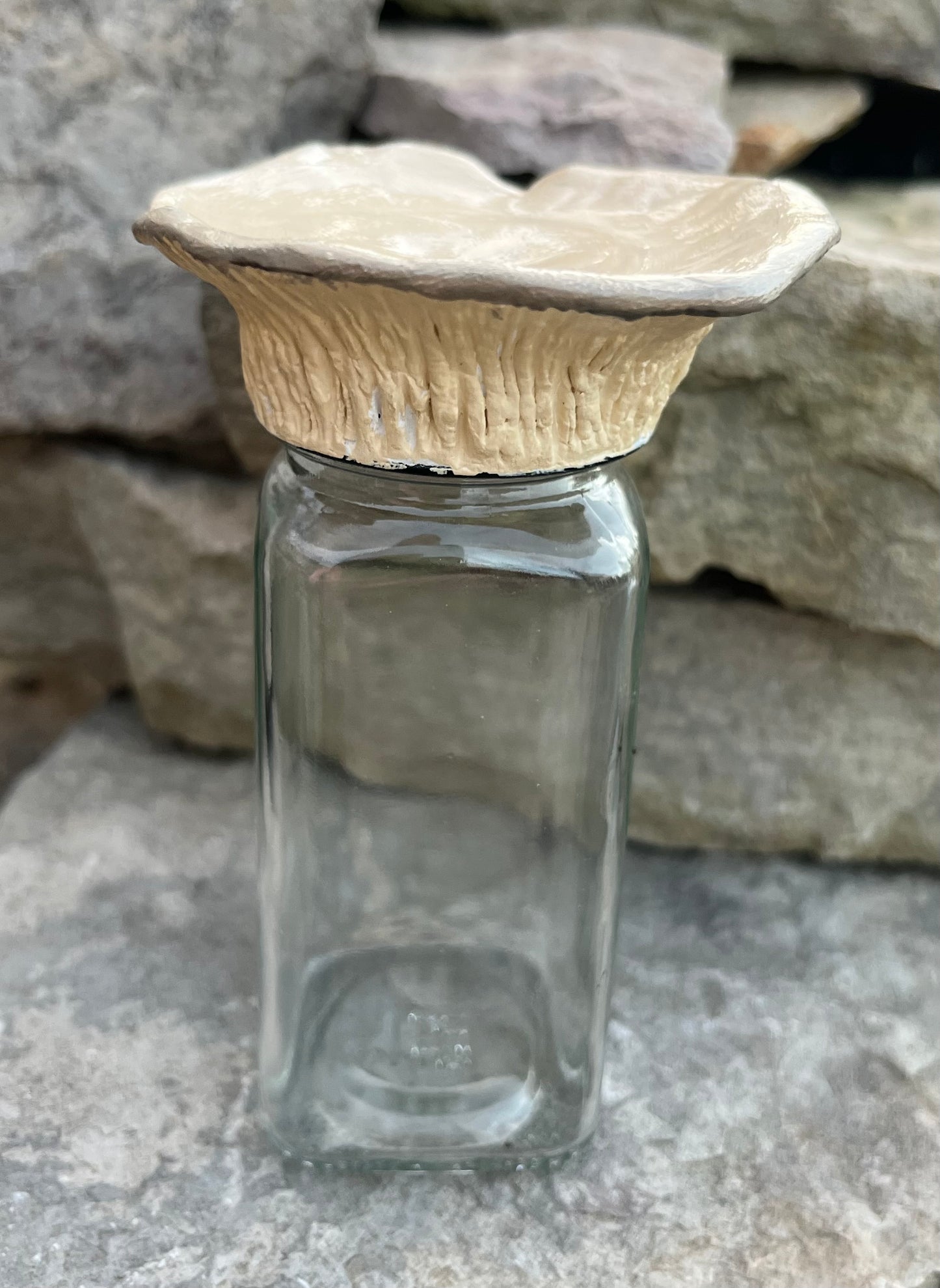 Oyster Mushroom Herb Jar