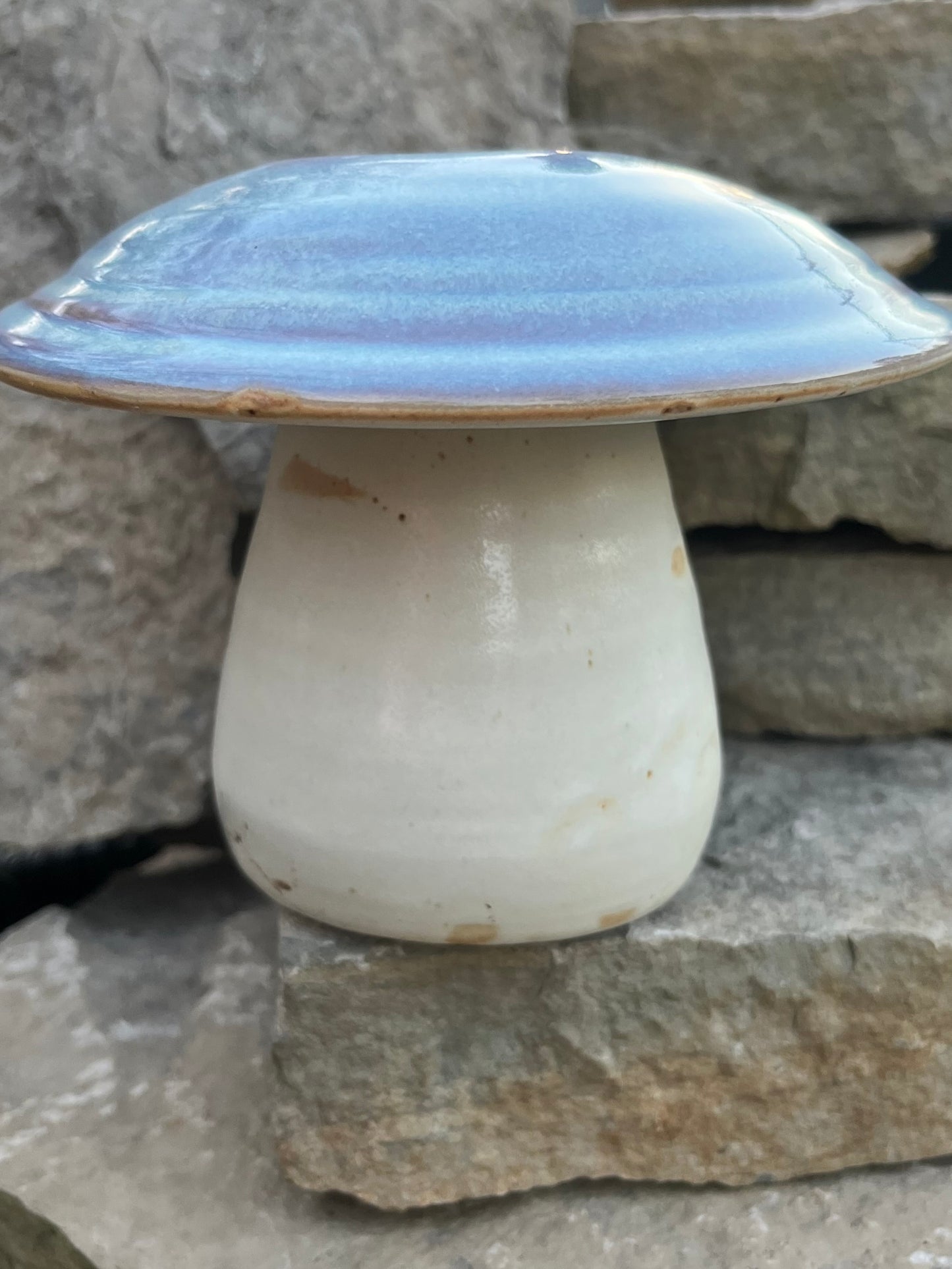 Ceramic mushroom