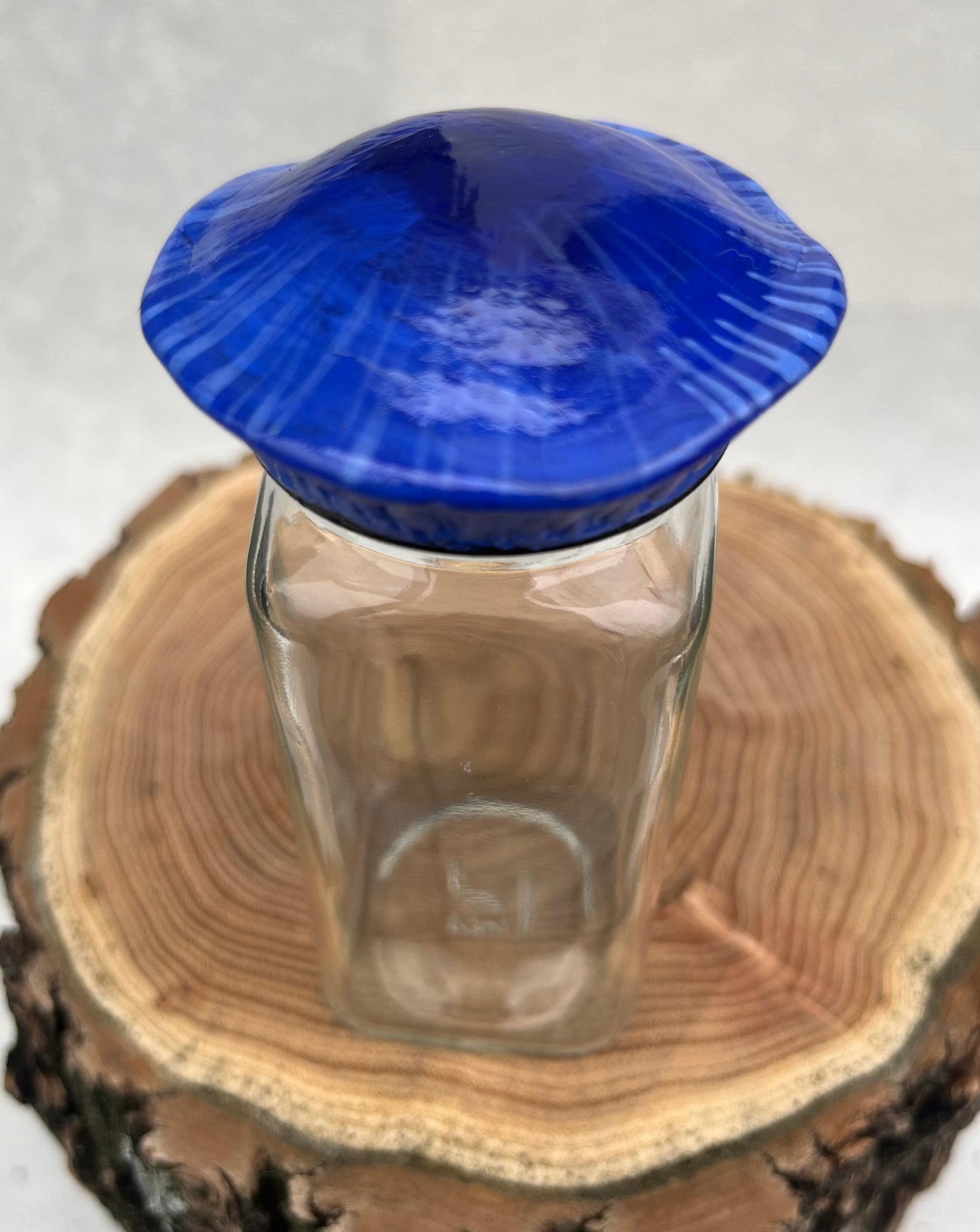 Pixie Parasol Mushroom Herb Jar