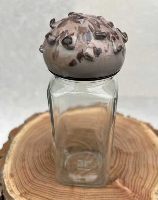 Shaggy Parasol Mushroom Herb Jar